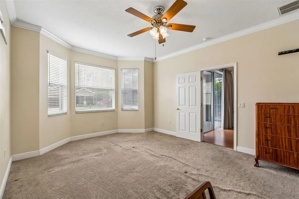 20904 Tangor Road Land O Lakes FL 34637