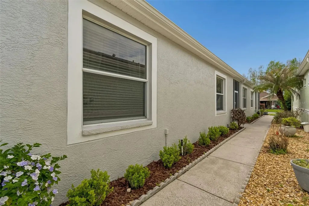 20904 Tangor Road Land O Lakes FL 34637
