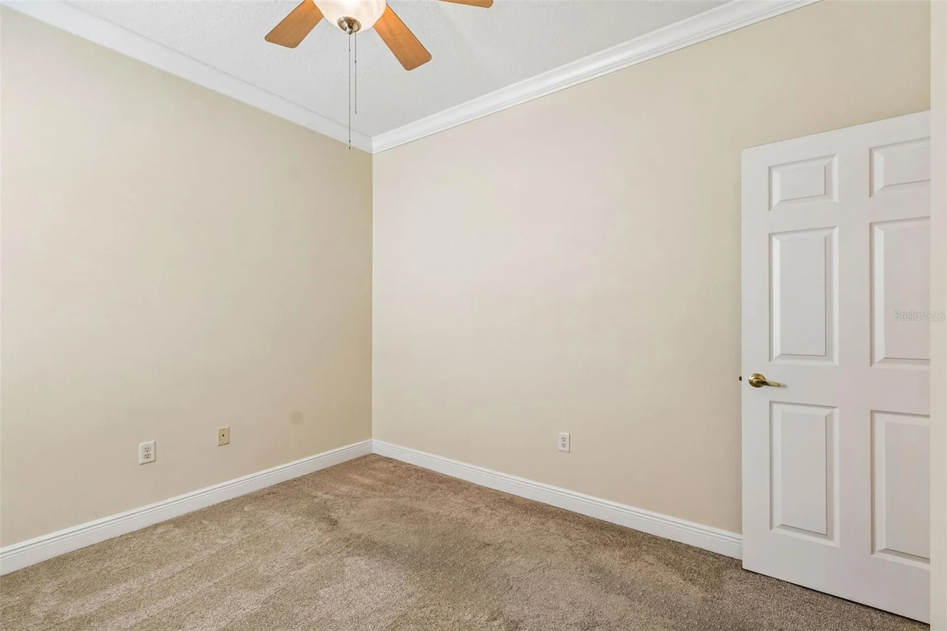 20904 Tangor Road Land O Lakes FL 34637