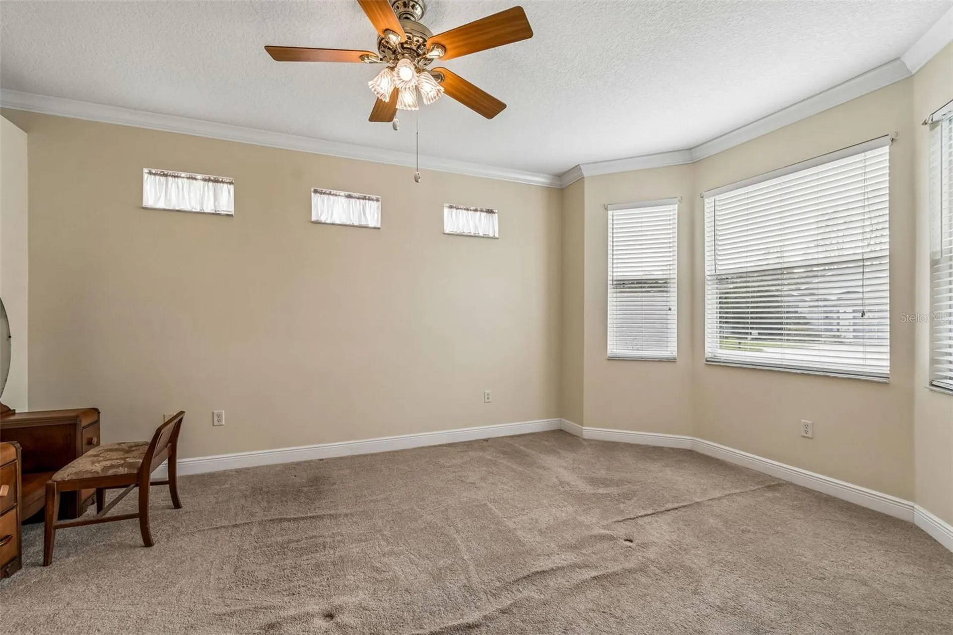 20904 Tangor Road Land O Lakes FL 34637