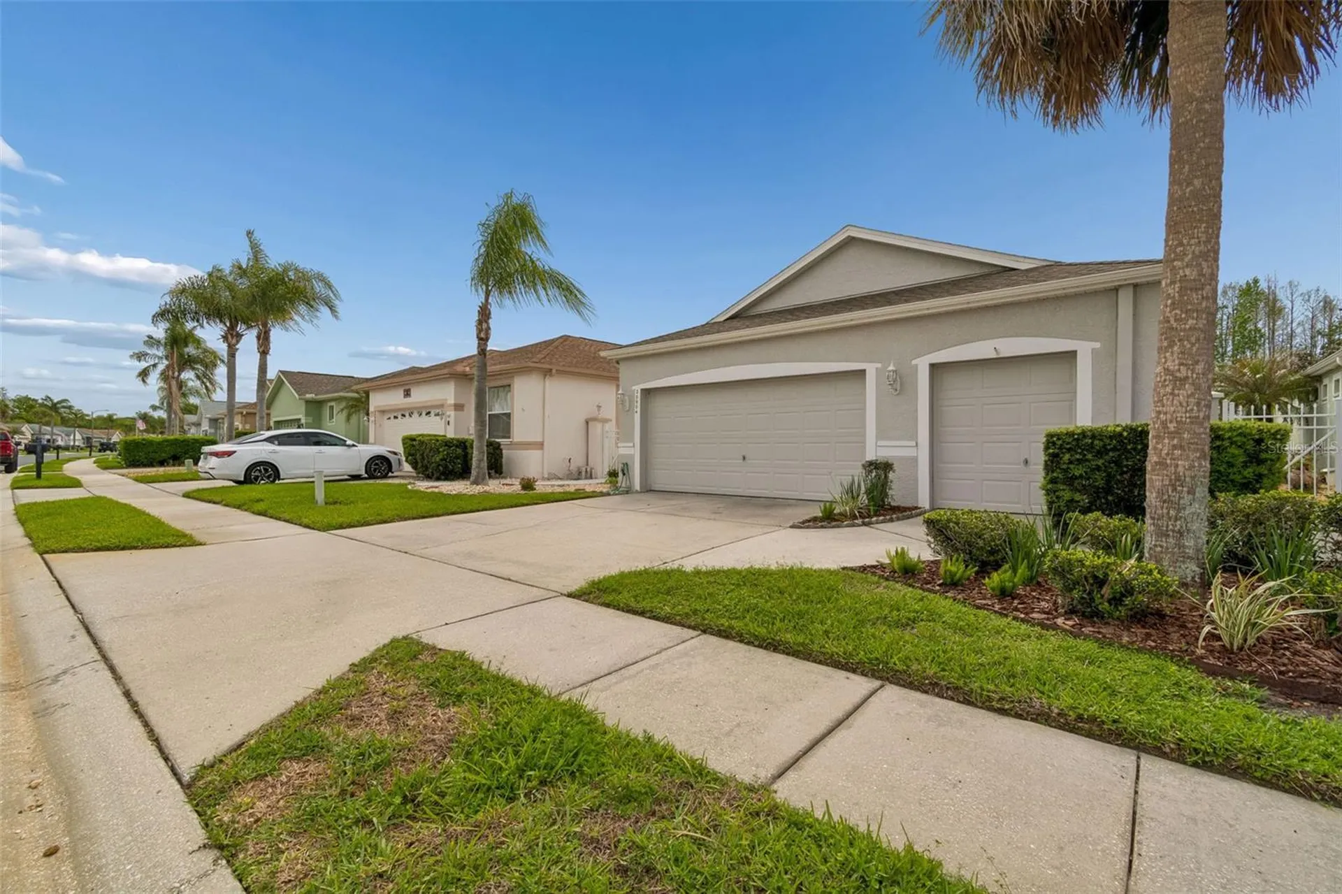 20904 Tangor Road Land O Lakes FL 34637