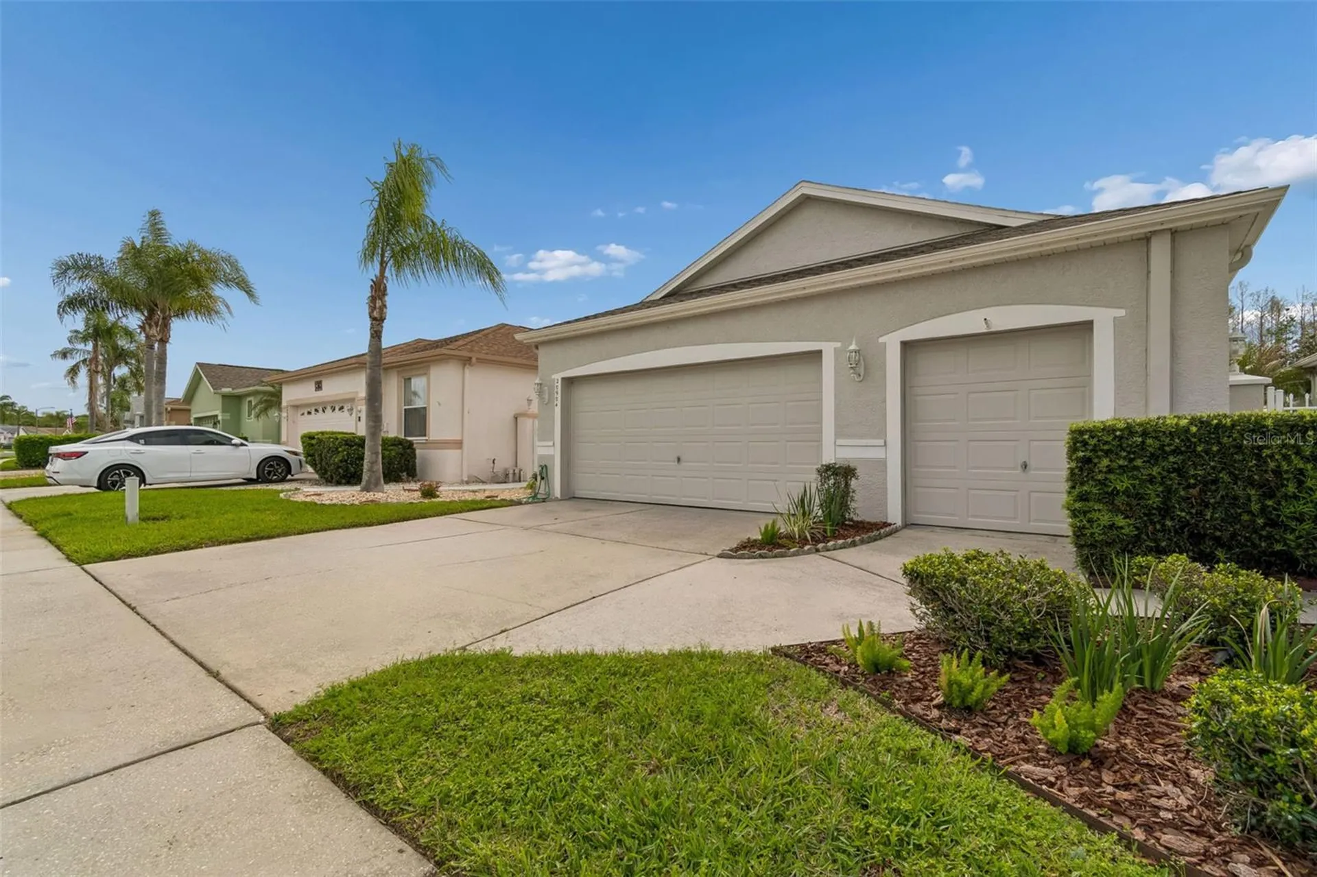 20904 Tangor Road Land O Lakes FL 34637