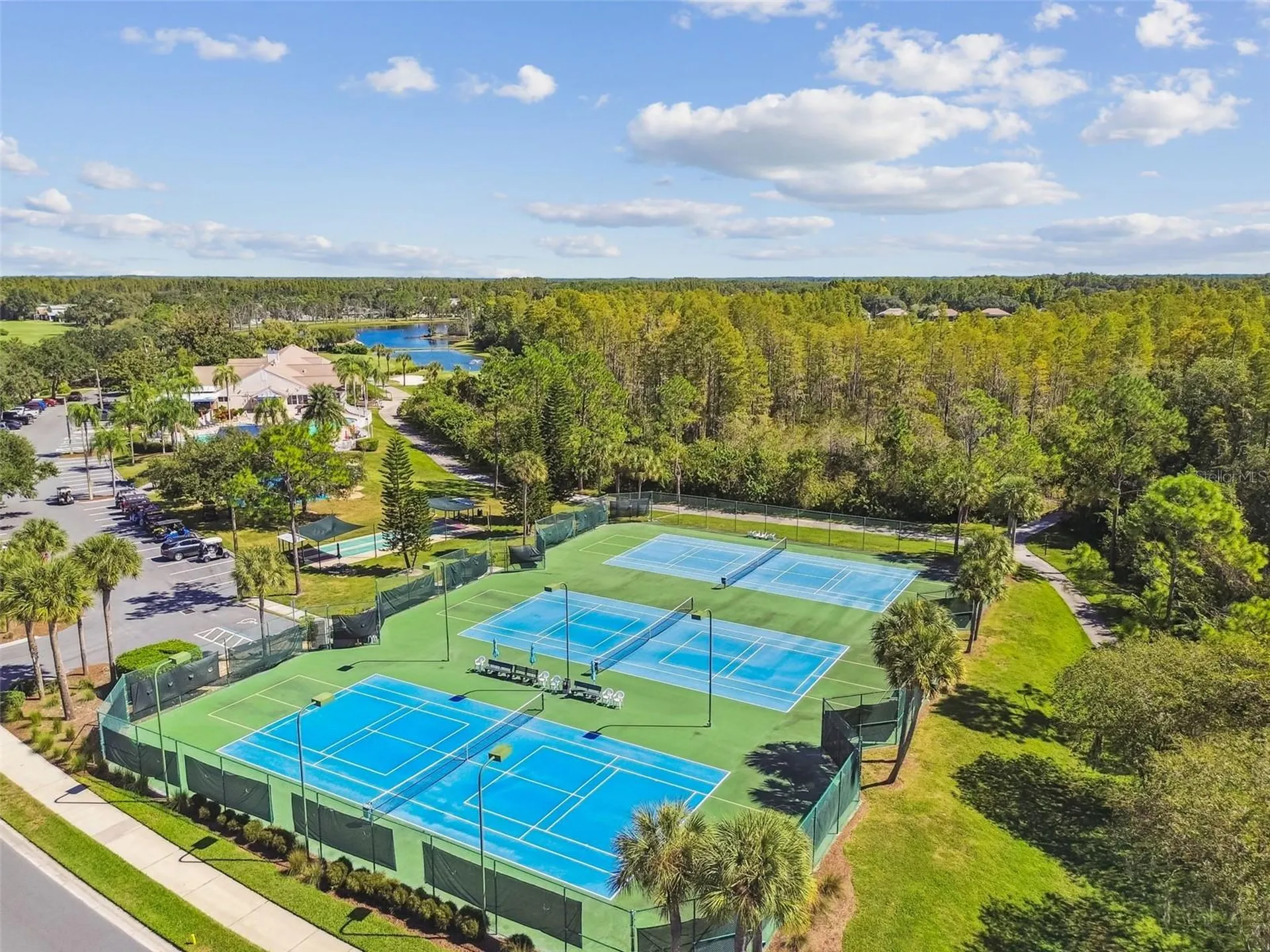 20904 Tangor Road Land O Lakes FL 34637