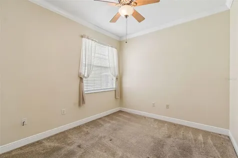 20904 Tangor Road Land O Lakes FL 34637