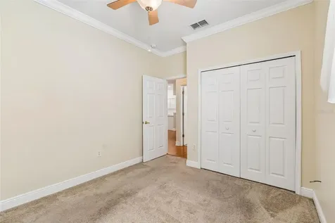 20904 Tangor Road Land O Lakes FL 34637