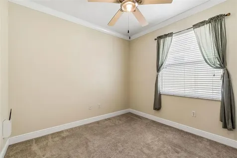 20904 Tangor Road Land O Lakes FL 34637