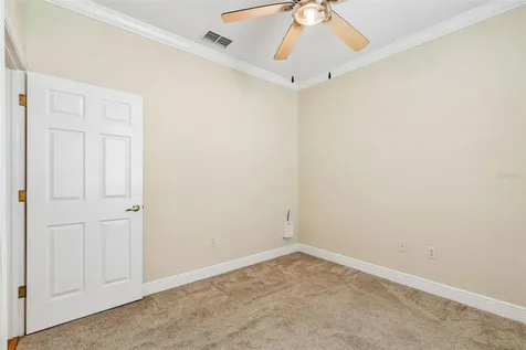 20904 Tangor Road Land O Lakes FL 34637