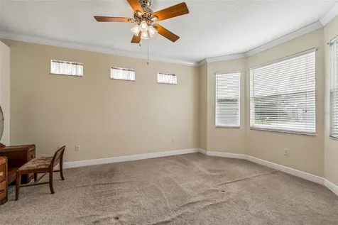 20904 Tangor Road Land O Lakes FL 34637