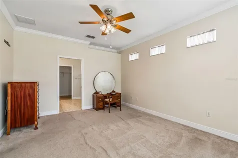 20904 Tangor Road Land O Lakes FL 34637