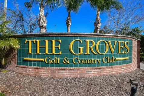 20904 Tangor Road Land O Lakes FL 34637