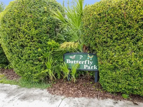 20904 Tangor Road Land O Lakes FL 34637