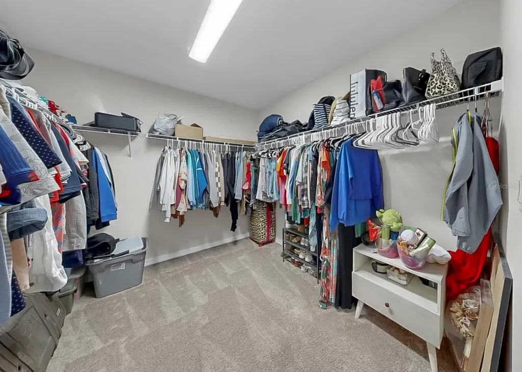 12738 Mangrove Forest Drive Riverview FL 33579