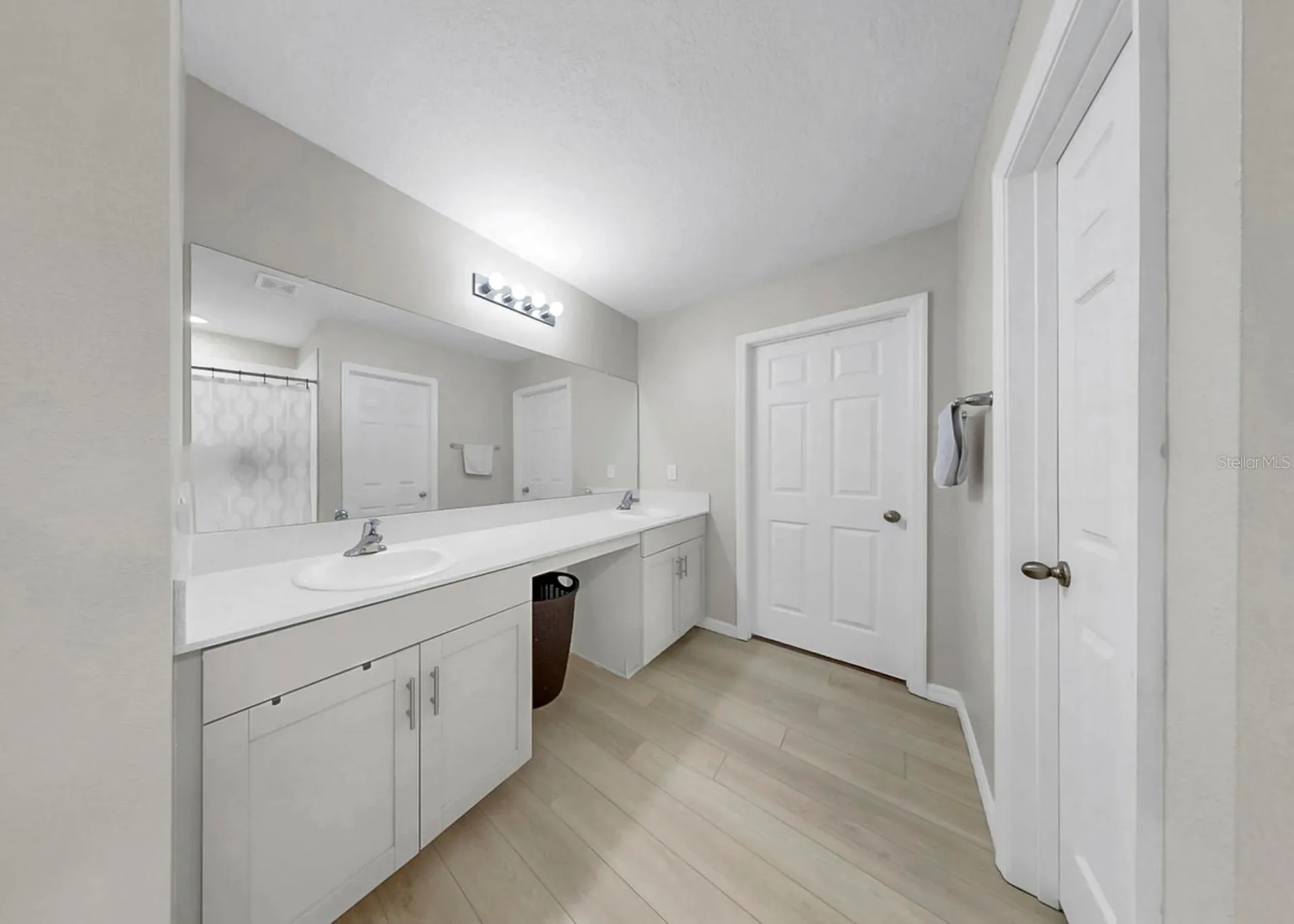 12738 Mangrove Forest Drive Riverview FL 33579