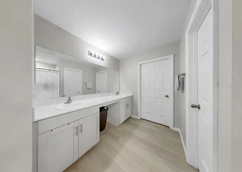 12738 Mangrove Forest Drive Riverview FL 33579