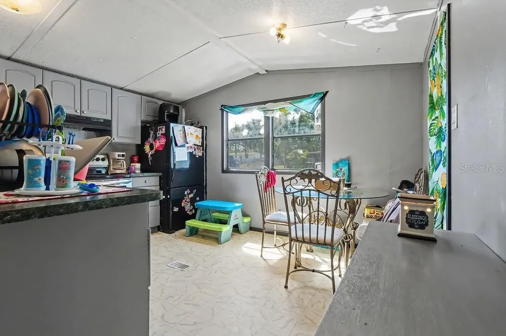 14541 SE 91st Terrace Summerfield FL 34491