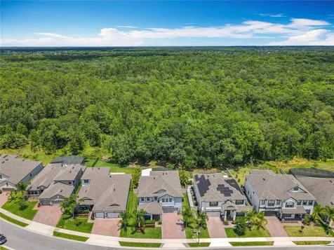 2676 Estuary Loop Oviedo FL 32765