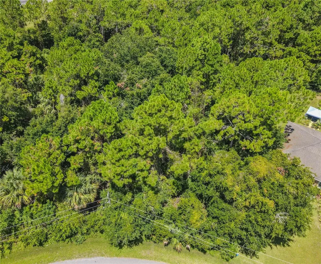 47 Fanshawe Lane Palm Coast FL 32137
