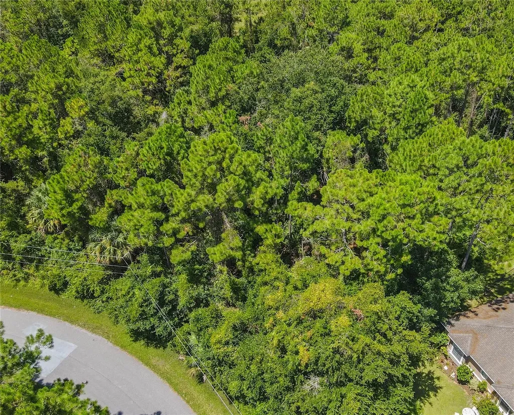 47 Fanshawe Lane Palm Coast FL 32137