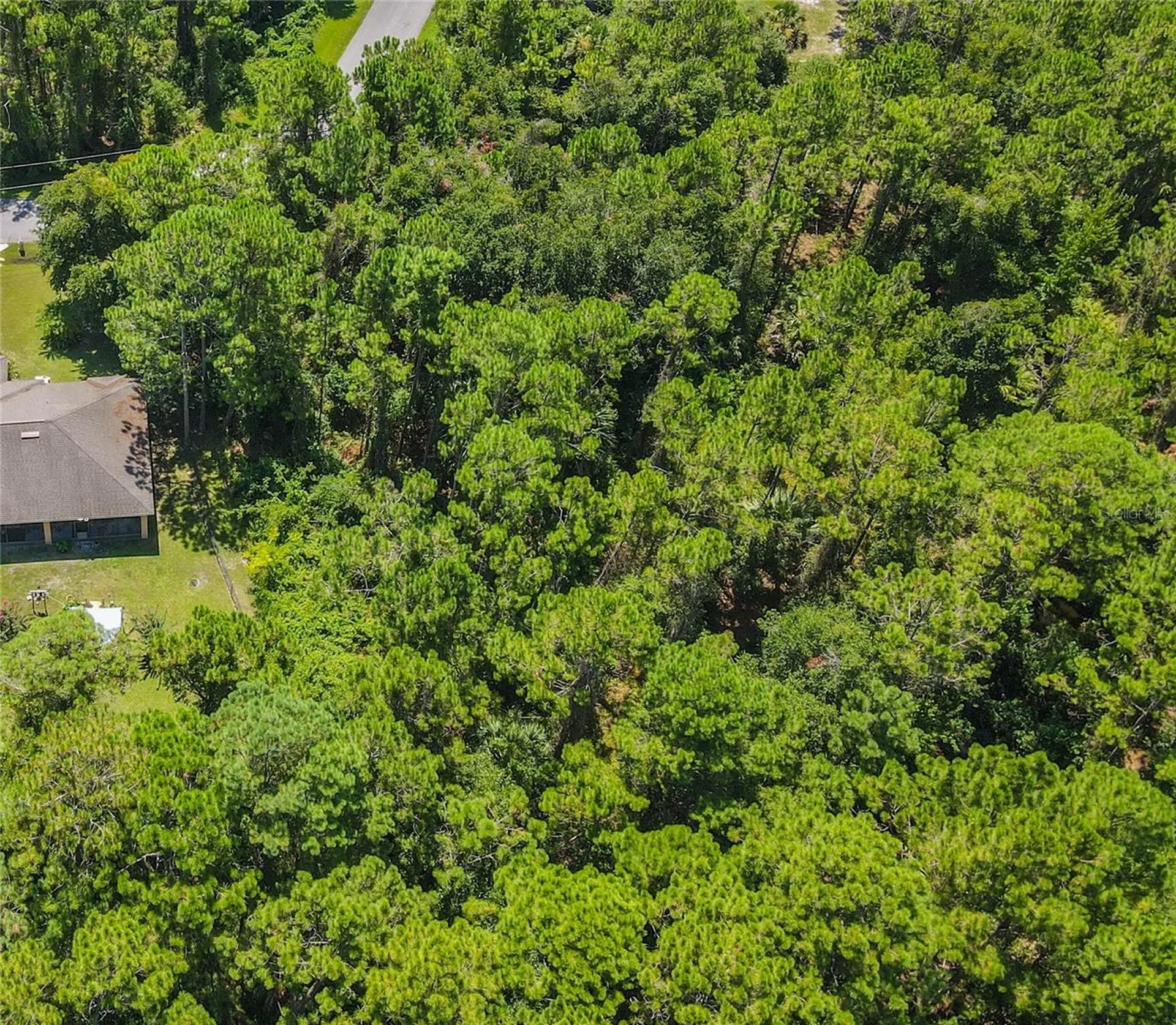 47 Fanshawe Lane Palm Coast FL 32137