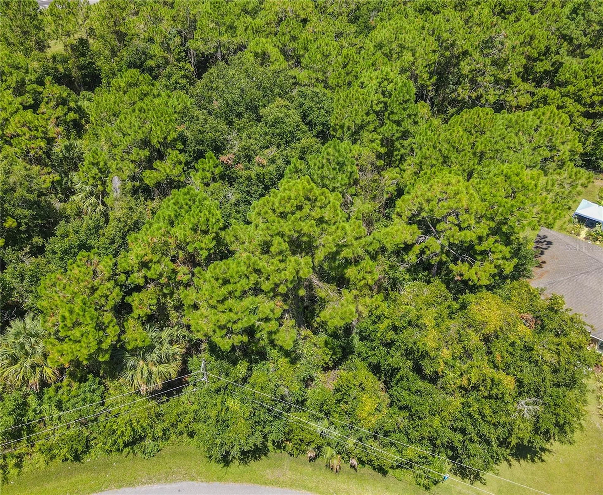 47 Fanshawe Lane Palm Coast FL 32137