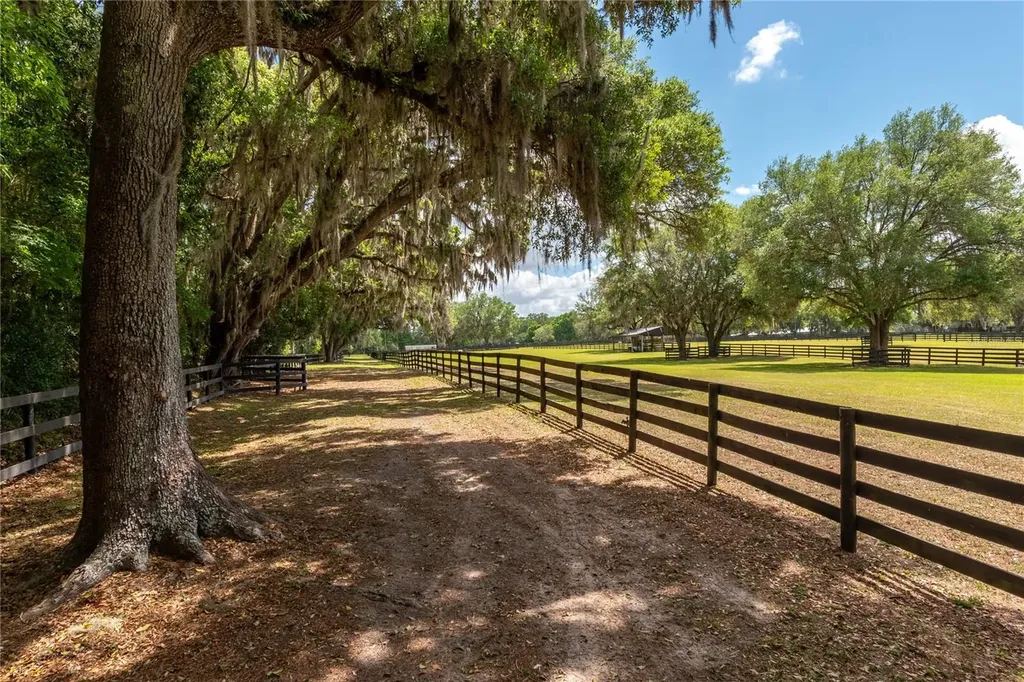 14650 NW 160th Avenue Williston FL 32696