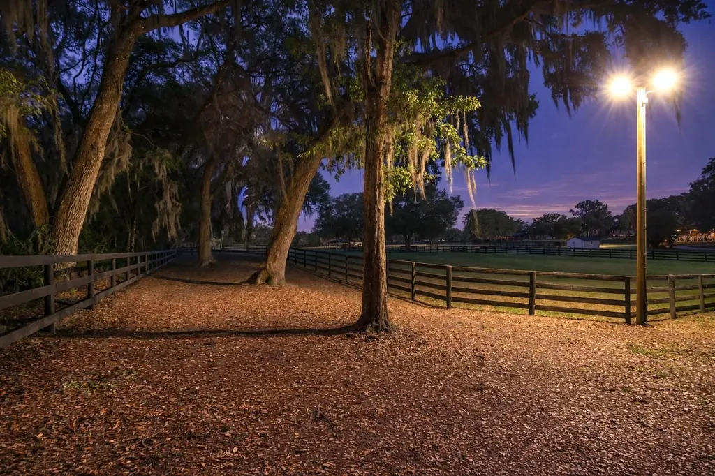 14650 NW 160th Avenue Williston FL 32696