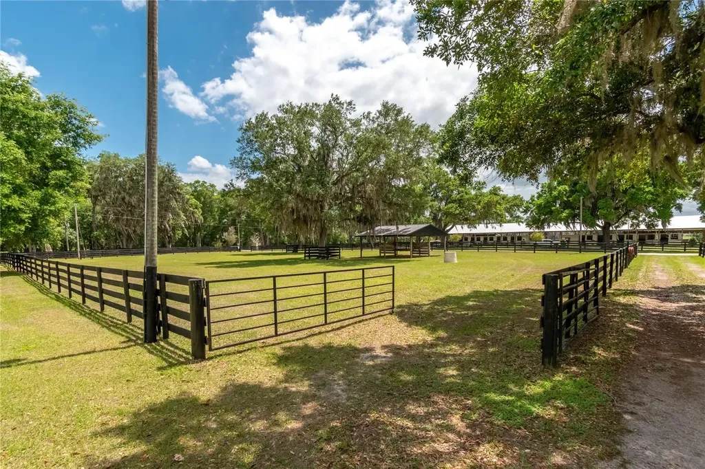 14650 NW 160th Avenue Williston FL 32696