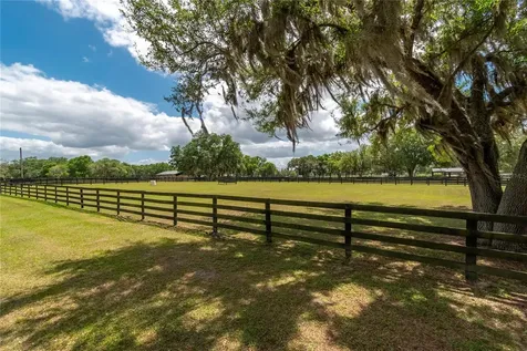 14650 NW 160th Avenue Williston FL 32696