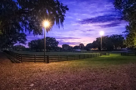 14650 NW 160th Avenue Williston FL 32696