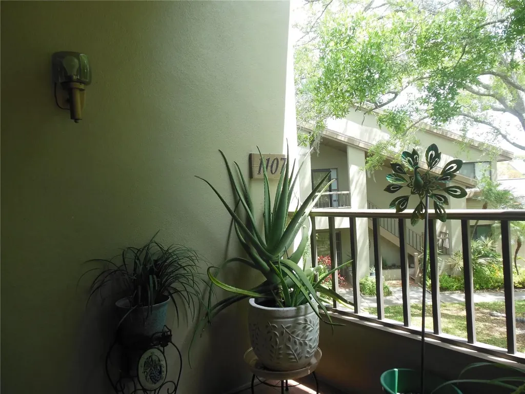 3053 Landmark Boulevard Palm Harbor FL 34684