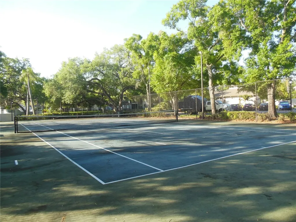 3053 Landmark Boulevard Palm Harbor FL 34684