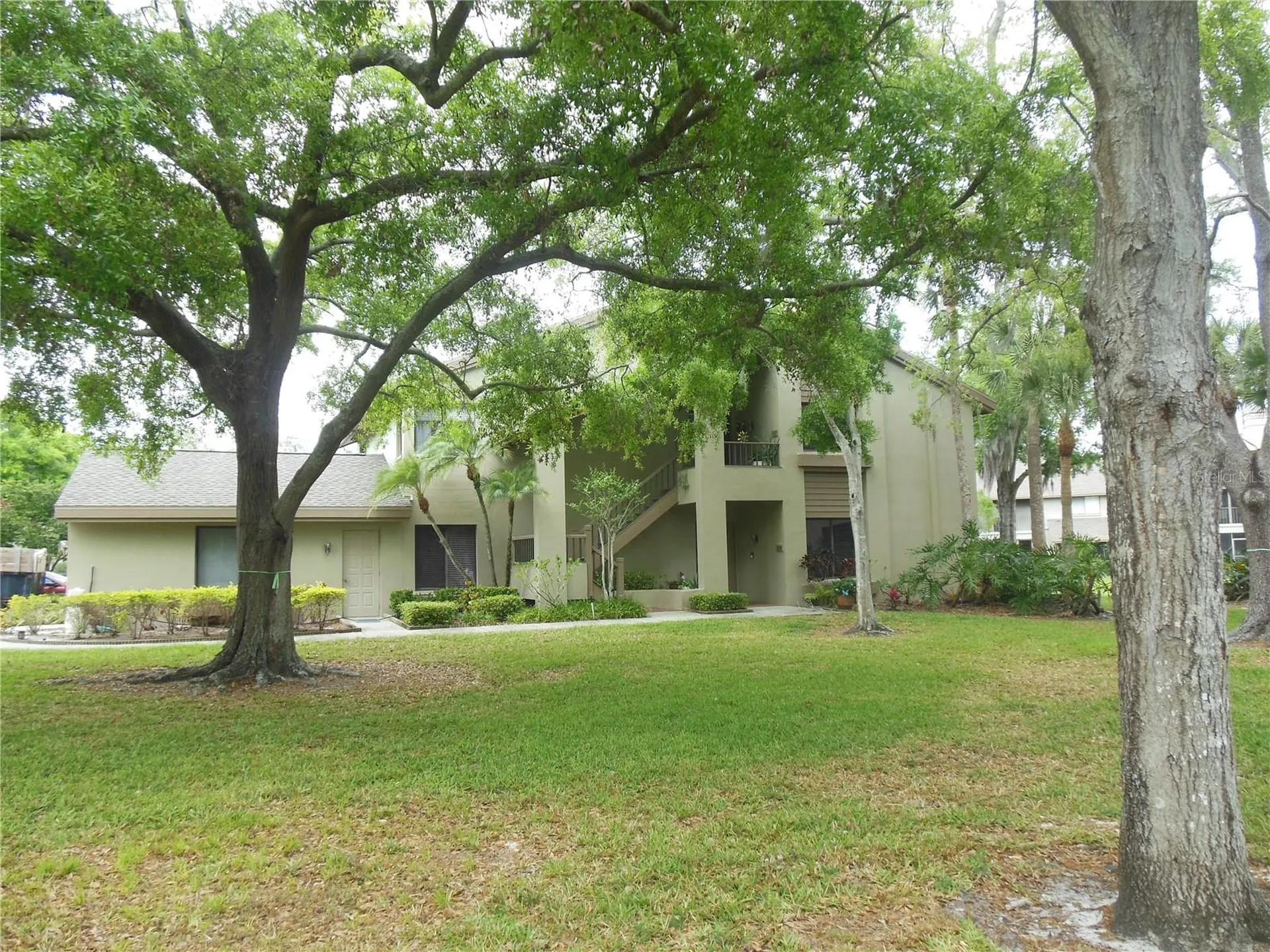 3053 Landmark Boulevard Palm Harbor FL 34684