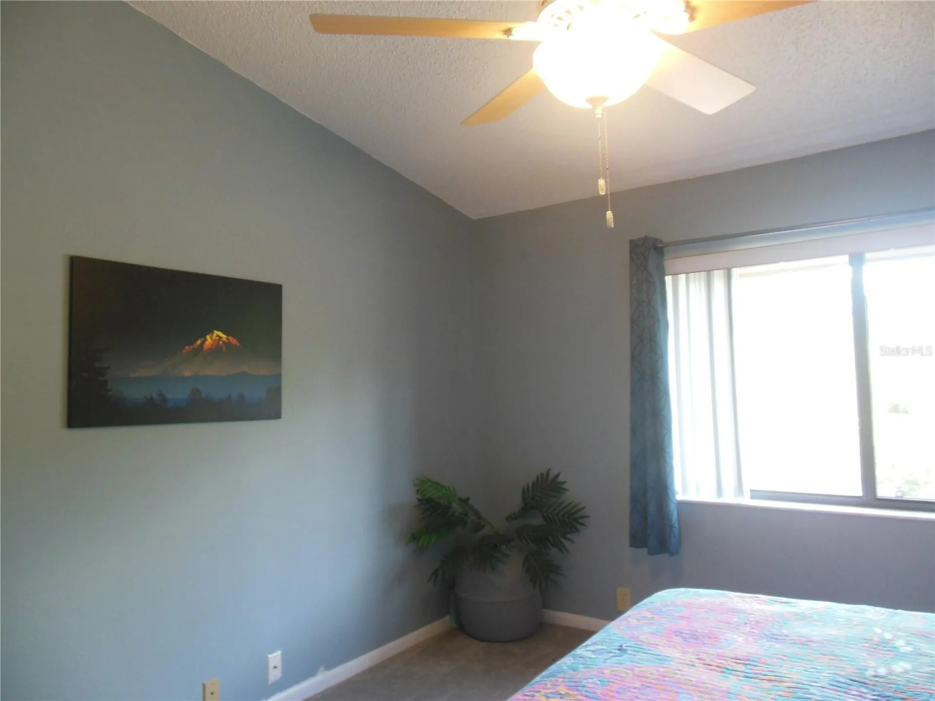 3053 Landmark Boulevard Palm Harbor FL 34684