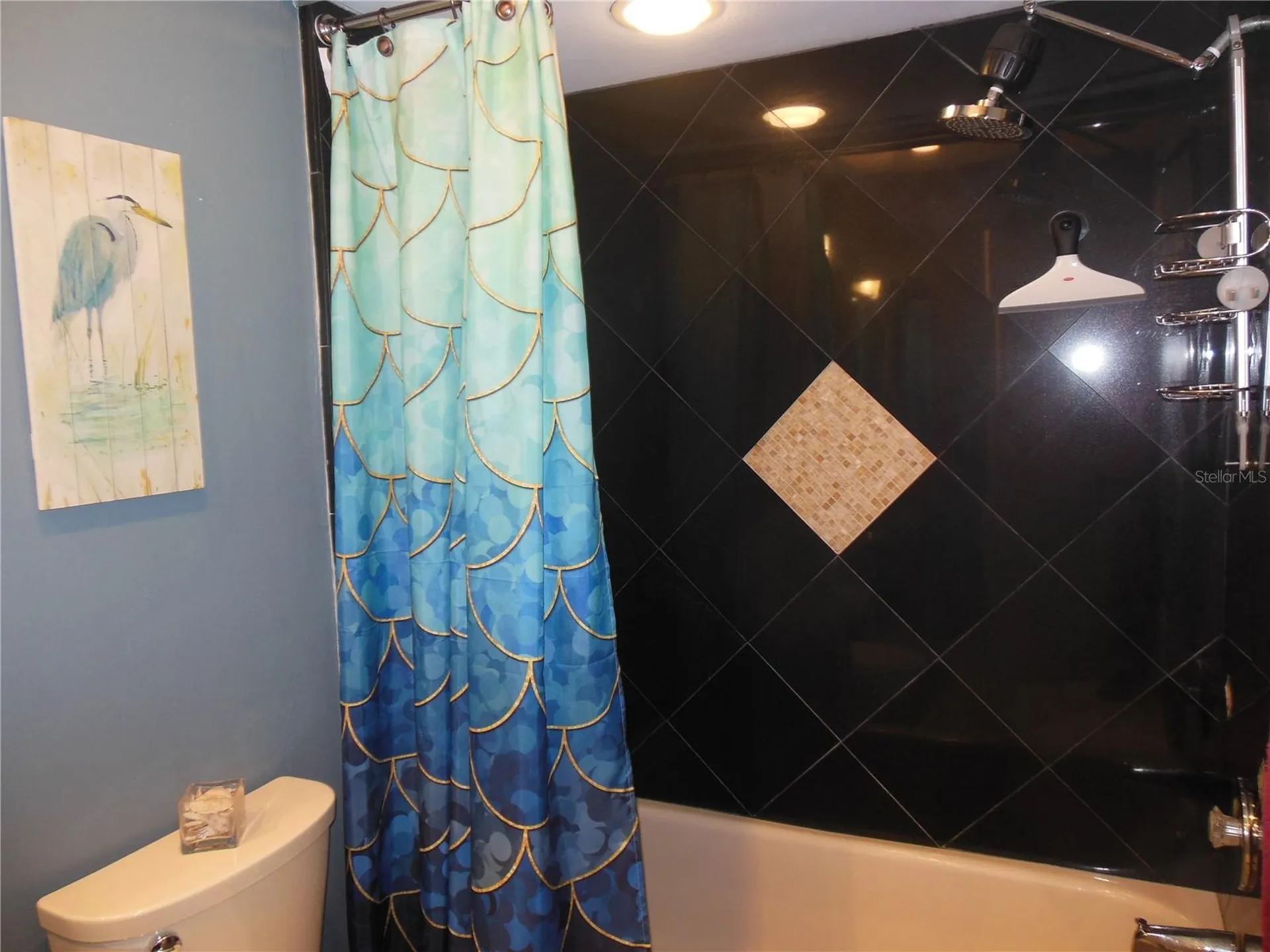 3053 Landmark Boulevard Palm Harbor FL 34684