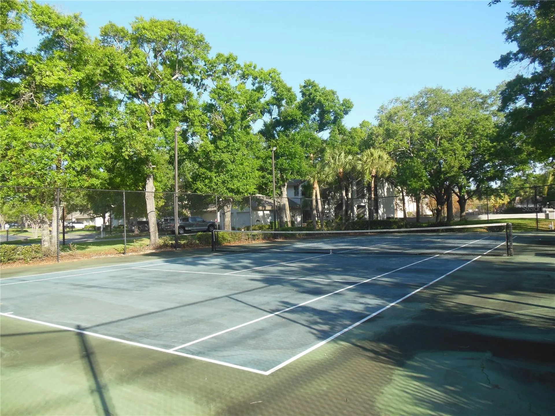 3053 Landmark Boulevard Palm Harbor FL 34684