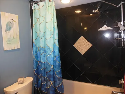 3053 Landmark Boulevard Palm Harbor FL 34684