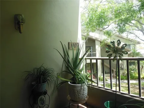 3053 Landmark Boulevard Palm Harbor FL 34684