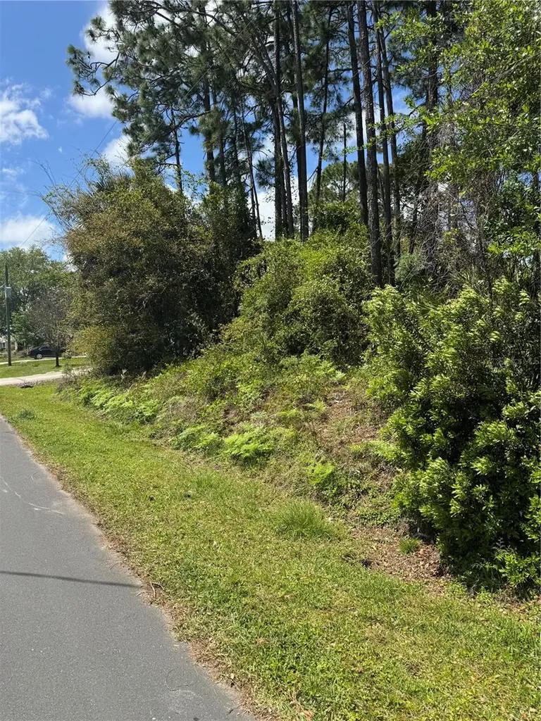 19 Bassett Lane Palm Coast FL 32137