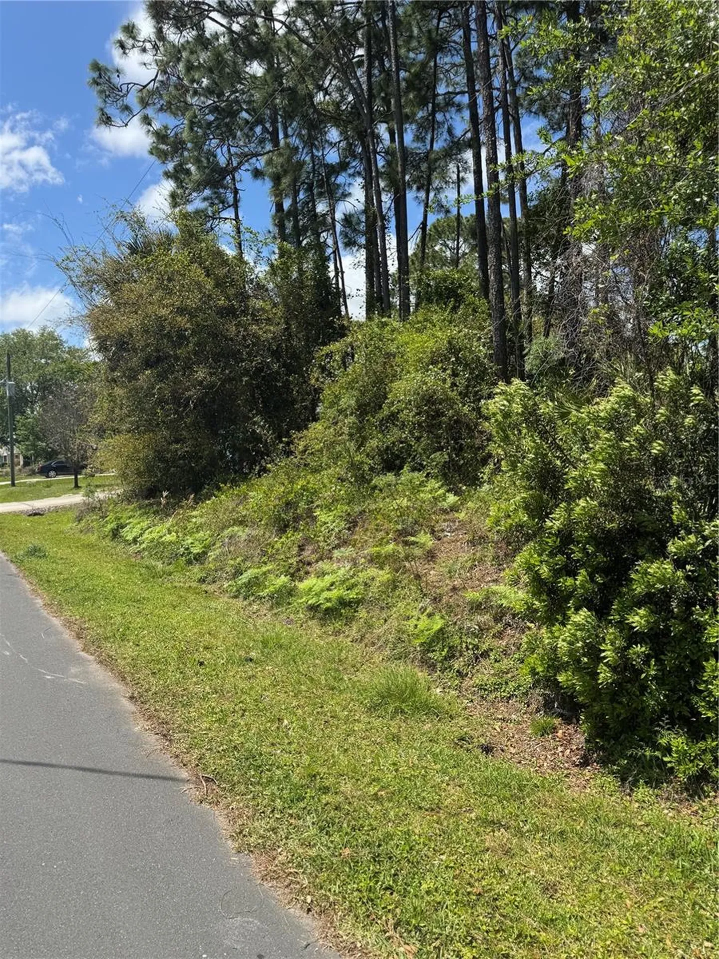 19 Bassett Lane Palm Coast FL 32137