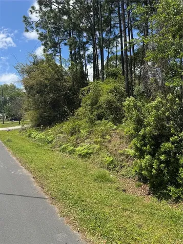 19 Bassett Lane Palm Coast FL 32137