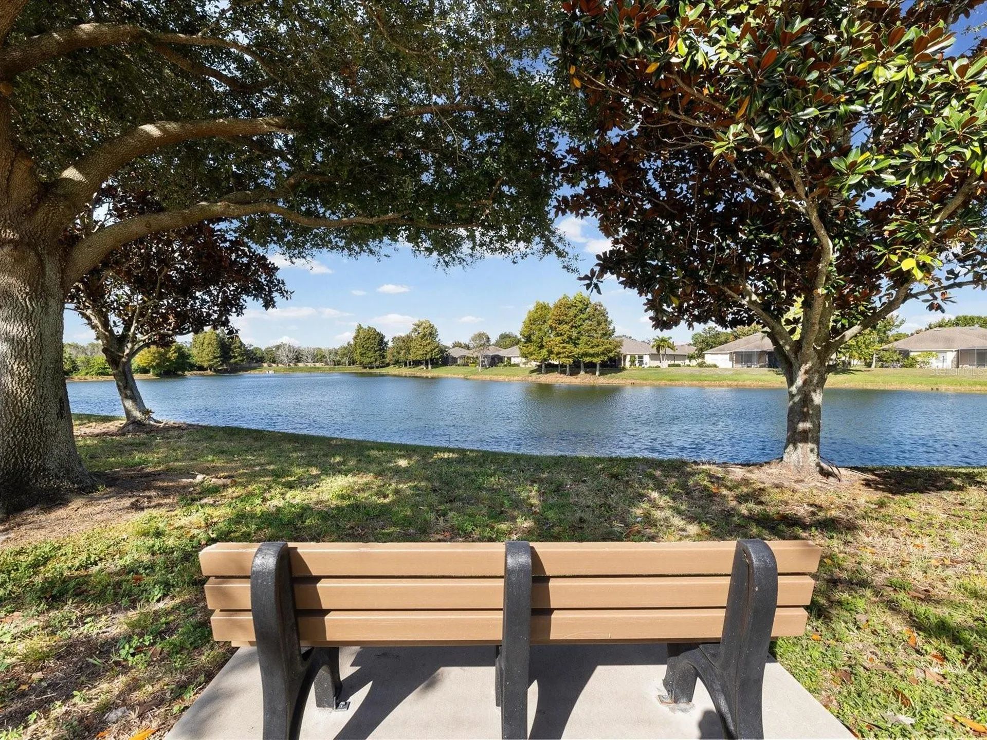 2126 Parrot Fish Drive Holiday FL 34691