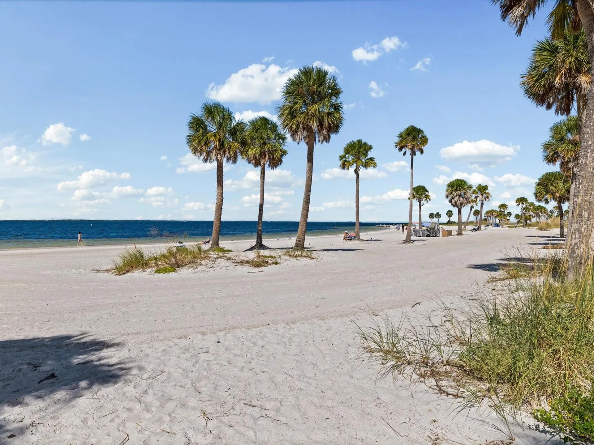 2126 Parrot Fish Drive Holiday FL 34691