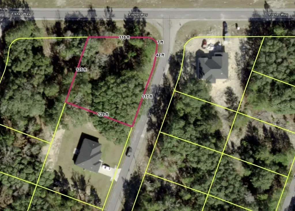 Tbd Fisher Way Ocklawaha FL 32179