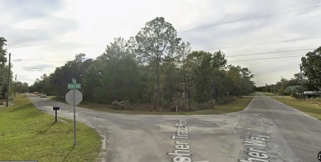 Tbd Fisher Way Ocklawaha FL 32179