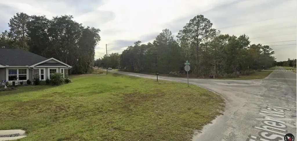 Tbd Fisher Way Ocklawaha FL 32179
