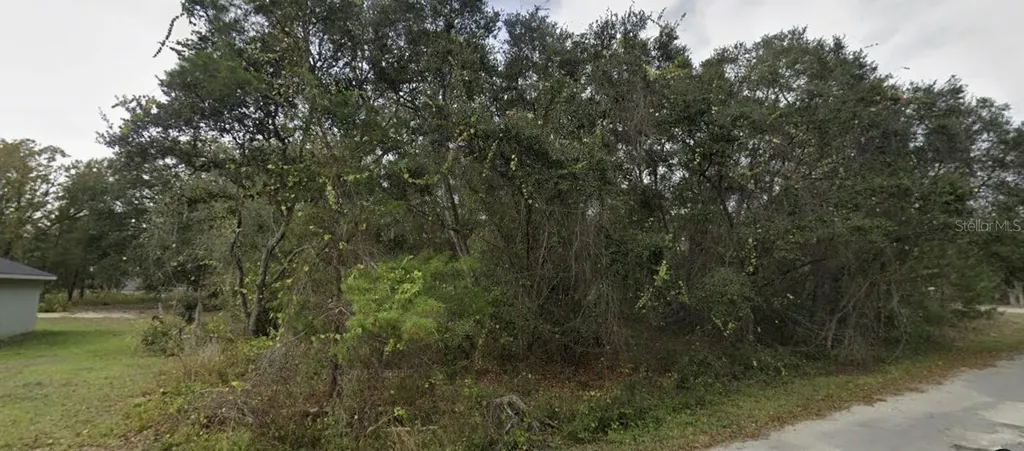Tbd Fisher Way Ocklawaha FL 32179