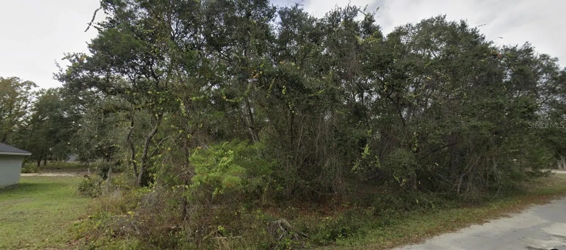 Tbd Fisher Way Ocklawaha FL 32179