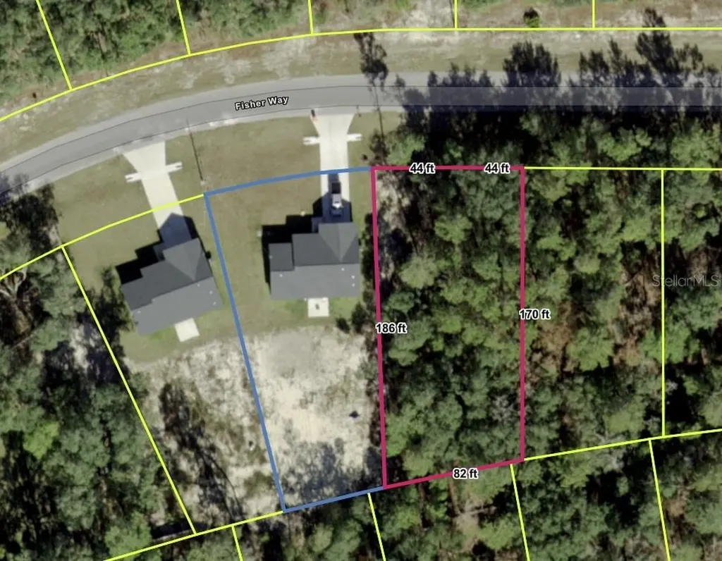 Tbd Fisher Way Ocklawaha FL 32179