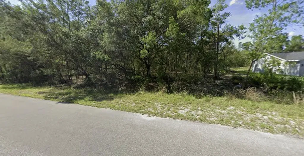 Tbd Fisher Way Ocklawaha FL 32179