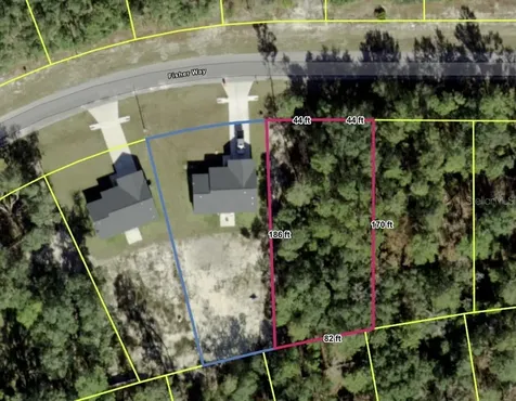 Tbd Fisher Way Ocklawaha FL 32179